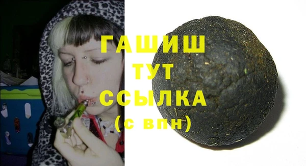 индика Богданович